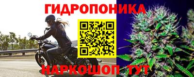 метамфетамин Гай