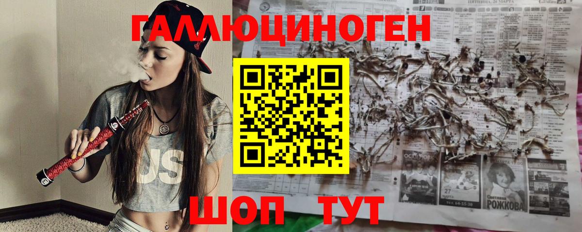 Галлюциногенные грибы Cubensis Белово